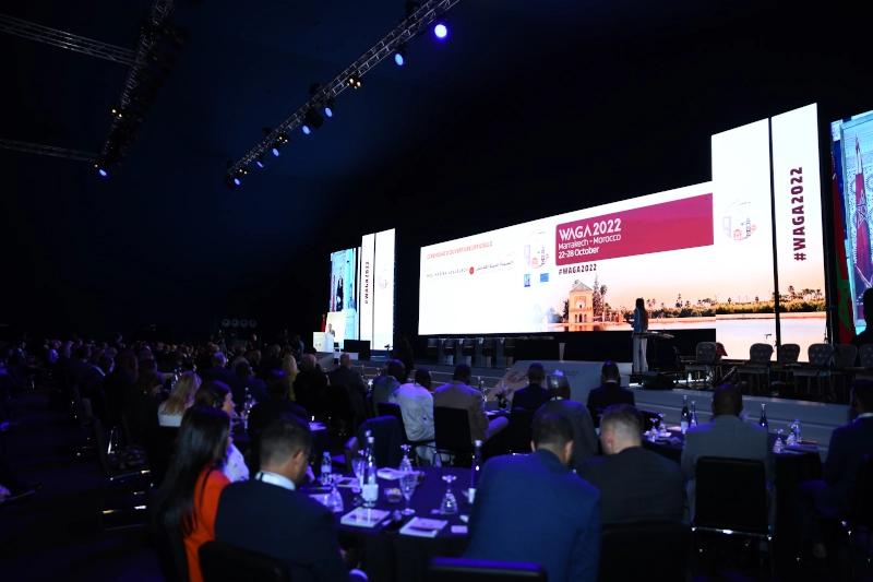 Galerie AMG Events